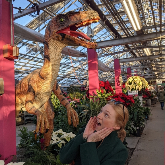 HEY Y'ALL - Picture 2 of 3